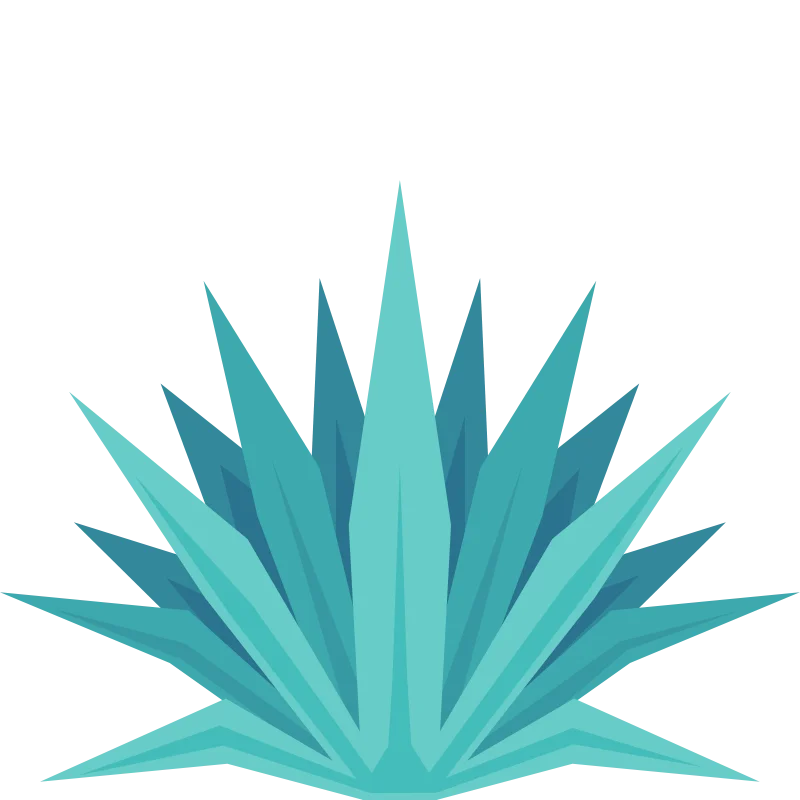 Agave